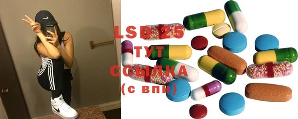 шишки Баксан