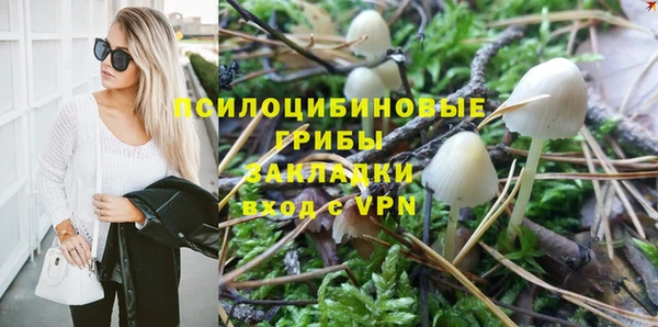 шишки Баксан