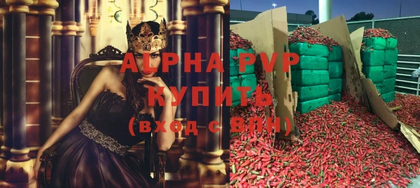 шишки Баксан