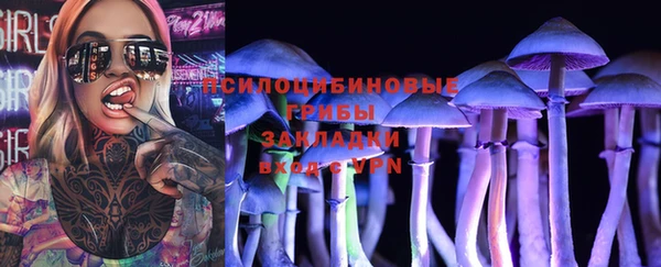шишки Баксан