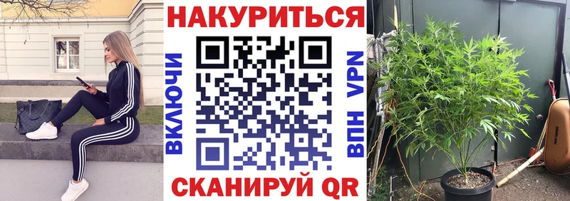 Бошки марихуана MAZAR  купить наркотики сайты  Бронницы 